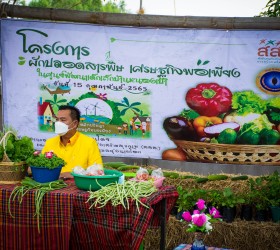 โครงการผักปลอดสารพิษ เศรษฐกิจพอเพียง ประจำปี พ.ศ.2565